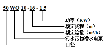 WQ污水污物潜水电泵(图1)