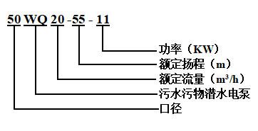 WQ高扬程污水污物潜水电泵(图1)