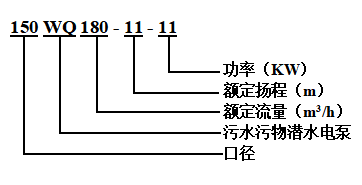 污水污物潜水电泵(图1)