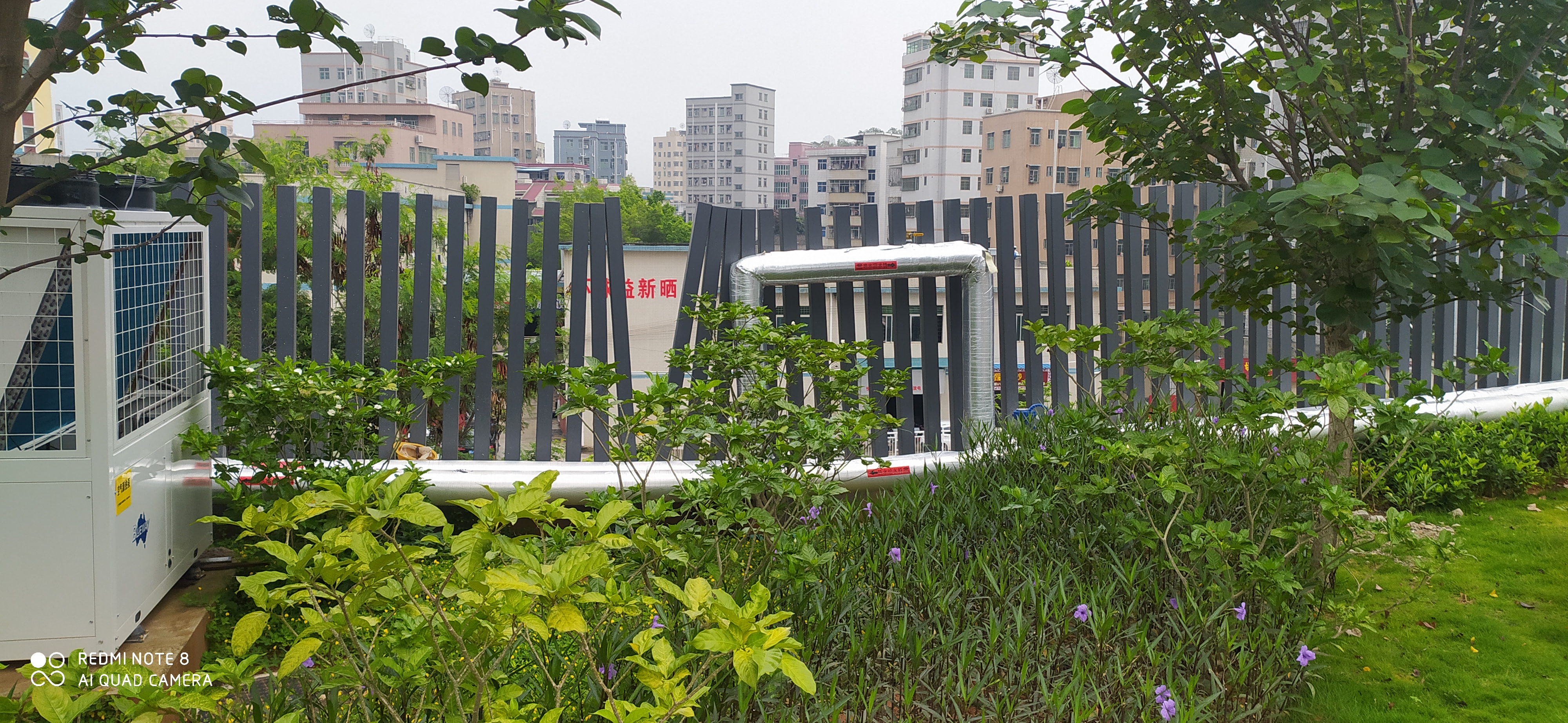 库坑中学施工总承包项目恒温泳池工程(图5)