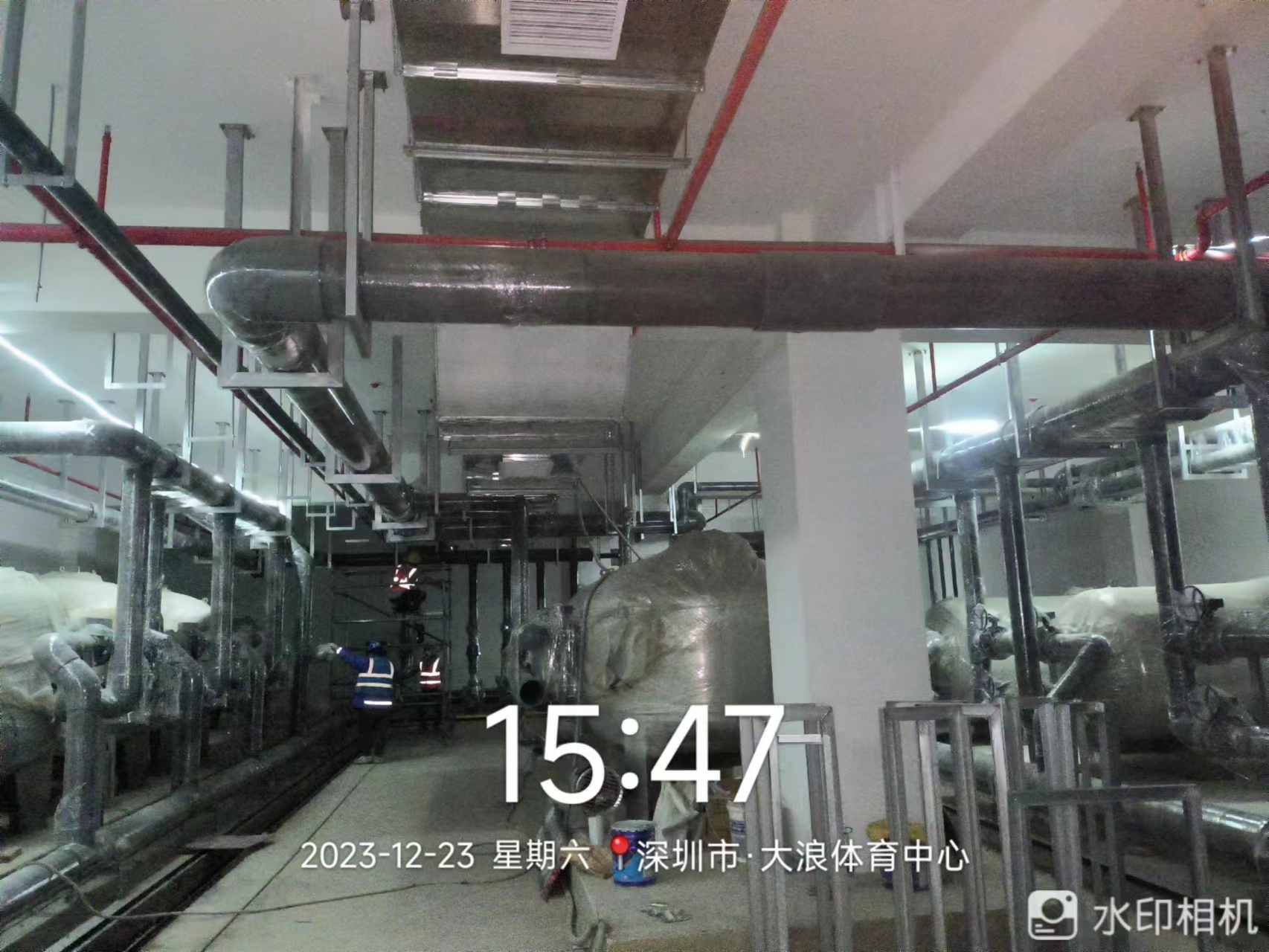 深圳大浪体育中心项目泳池工程--建设中(图2)
