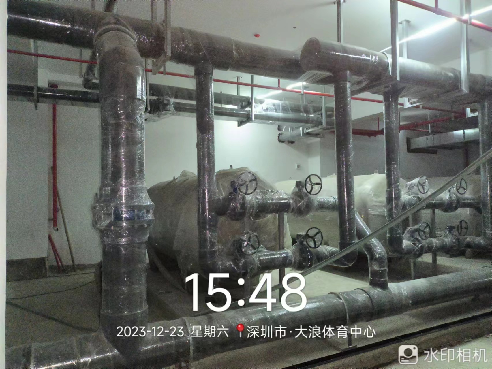 深圳大浪体育中心项目泳池工程--建设中(图4)