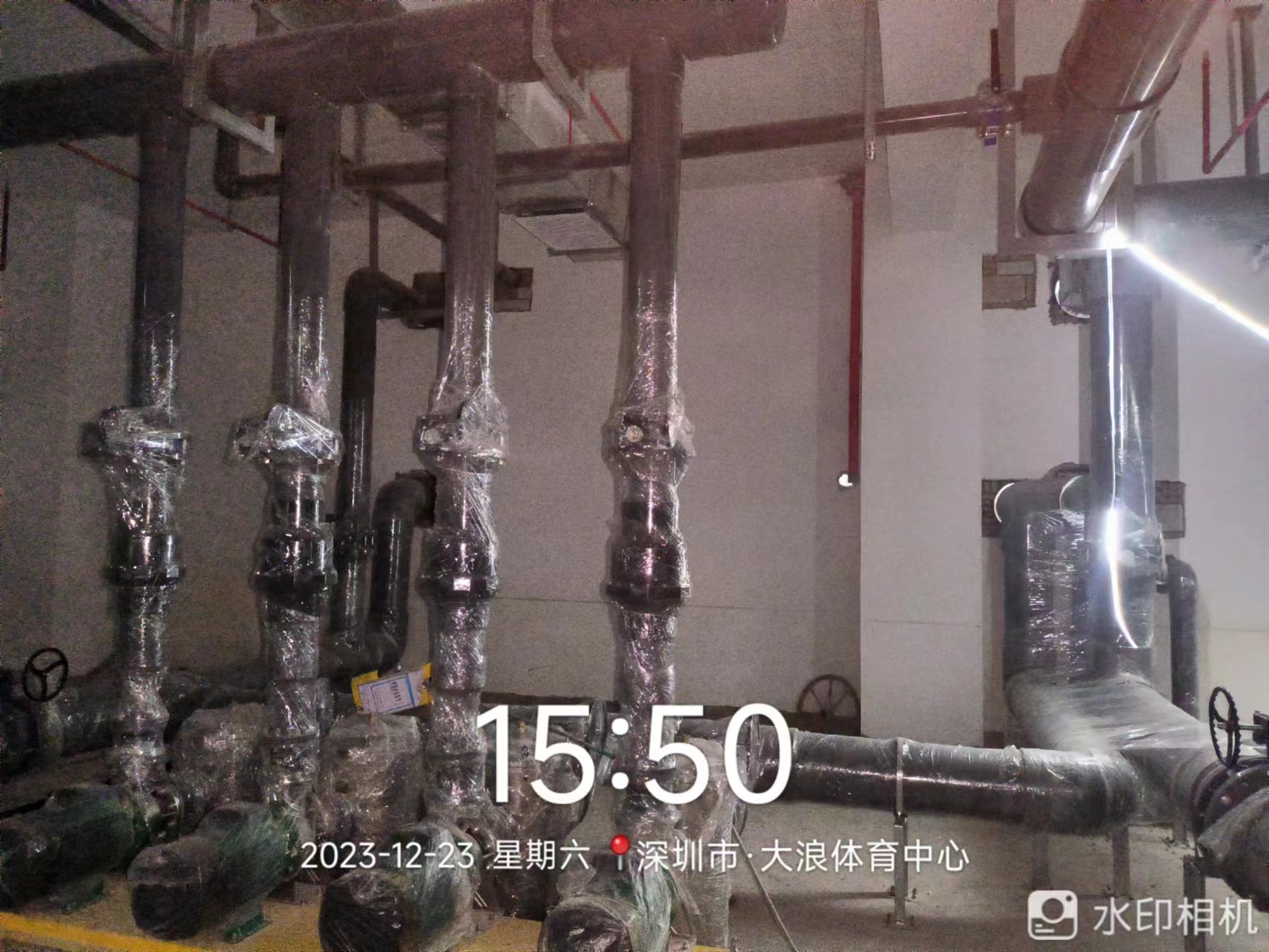 深圳大浪体育中心项目泳池工程--建设中(图5)